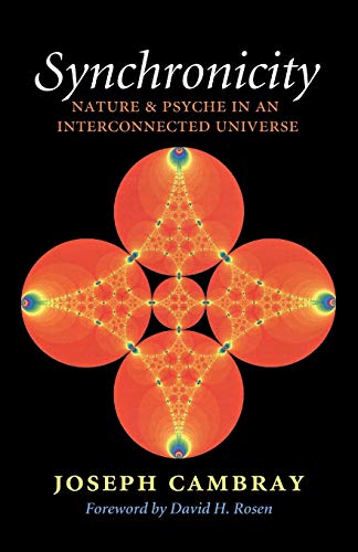 Synchronicity: Nature and Psyche in an Interconnected Universe Volume 15 (Carolyn and Ernest Fay Series in Analytical Psychology, Band 15)
