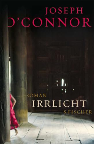 Irrlicht: Roman