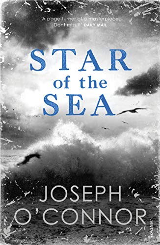 Star of the Sea: THE MILLION COPY BESTSELLER von Vintage