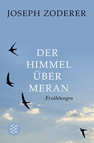 Der Himmel über Meran: Erzählungen von FISCHERVERLAGE