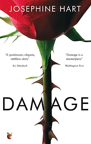 Damage: INSPIRATION FOR THE NETFLIX SERIES OBSESSION (Virago Modern Classics)