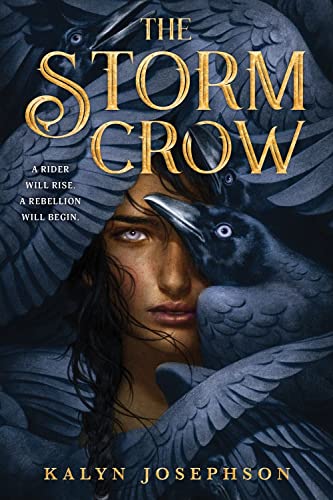 The Storm Crow (Storm Crow, 1, Band 1) von DK
