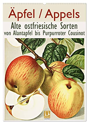 Äpfel/Appels. Alte ostfriesische Sorten (Wandkalender 2024 DIN A2 hoch), CALVENDO Monatskalender