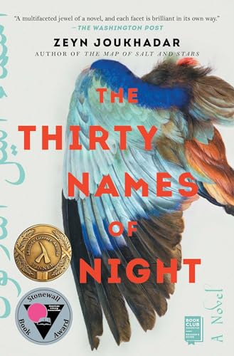 The Thirty Names of Night: A Novel