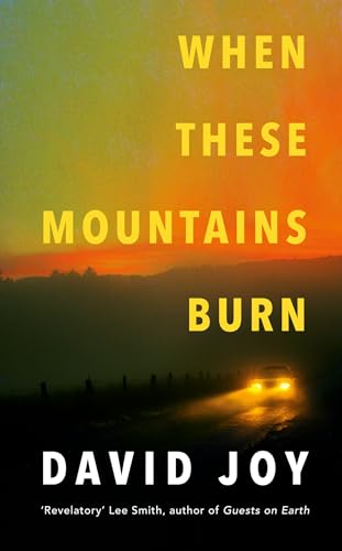 When These Mountains Burn: The literary crime thriller from the prizewinning master of American noir fiction