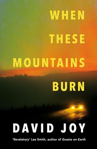 When These Mountains Burn von Mountain Leopard Press