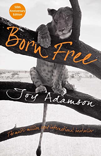 Born Free (Aziza's Secret Fairy Door, 157) von Pan