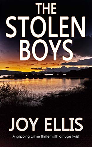 The Stolen Boys von Joffe Books