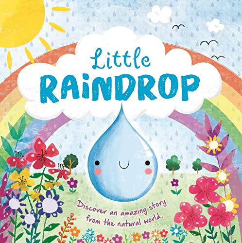 Little Raindrop: Padded Board Book (Nature Stories)
