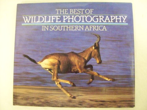 The Best of Wildlife Photography in Southern Africa