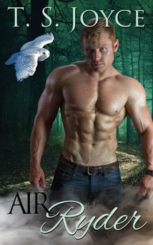 Air Ryder (Harper's Mountains, Band 3) von CreateSpace Independent Publishing Platform