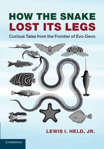 How the Snake Lost its Legs: Curious Tales From The Frontier Of Evo-Devo von Cambridge University Press