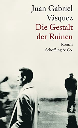 Die Gestalt der Ruinen: Roman von Schöffling