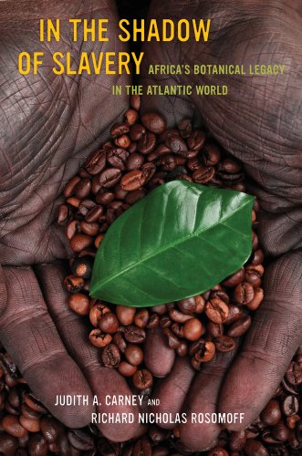 In the Shadow of Slavery: Africa's Botanical Legacy in the Atlantic World von University of California Press