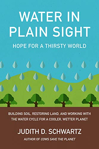 Water in Plain Sight: Hope for a Thirsty World von Chelsea Green Publishing Company