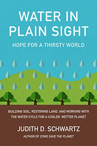 Water in Plain Sight: Hope for a Thirsty World Water in Plain Sight: Hope for a Thirsty World