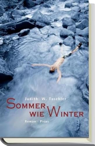 Sommer wie Winter: Roman