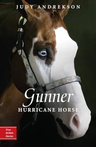 Gunner: Hurricane Horse (True Horse Stories, Band 1)