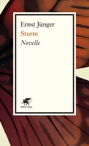 Sturm: Novelle