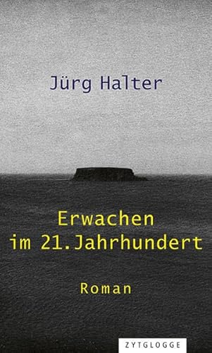 Erwachen im 21. Jahrhundert: Roman