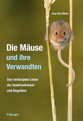 Die Mäuse und ihre Verwandten: Das verborgene Leben der Insektenfresser und Nagetiere von Haupt Verlag AG