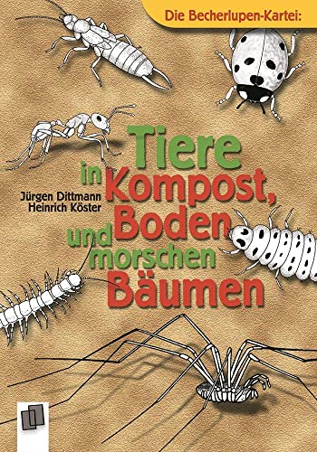 Tiere in Kompost, Boden und morschen Bäumen (Die Becherlupen-Kartei) von Verlag An Der Ruhr