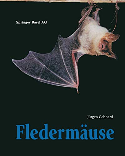 Fledermäuse von Birkhäuser