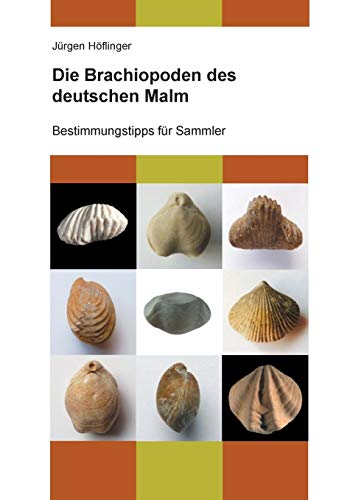 Die Brachiopoden des deutschen Malm: Bestimmungstipps für Sammler