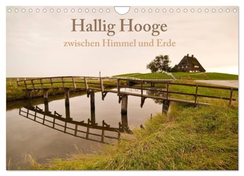 Hallig Hooge - zwischen Himmel und Erde (Wandkalender 2025 DIN A4 quer), CALVENDO Monatskalender von CALVENDO
