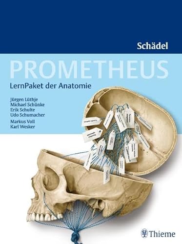 PROMETHEUS LernPaket Anatomie Schädel: Enth.: 1 Lerntafel Terminologie, 1 Lerntafel Foraminologie, 27 LernLeporellos