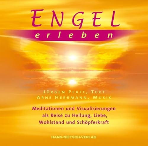 Engel erleben: Meditationen und Visualisierungen als Reise zu Heilung, Liebe, Wohlstand und Schöpferkraft von Nietsch Hans Verlag