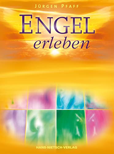 Engel erleben: Das Praxis-Set mit 44 Engelkarten und Begleitbuch von Nietsch Hans Verlag