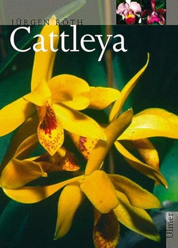Cattleya: Unter Mitarb. v. Bärbel Röth (Pflanzen-Monographien)