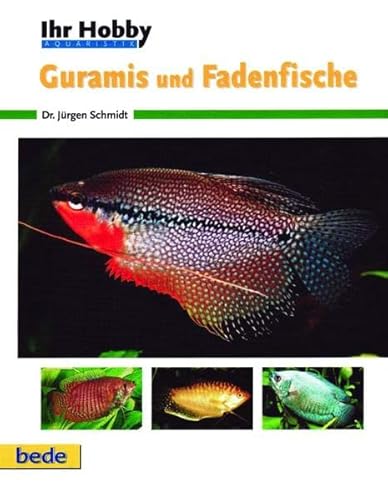 Guramis und Fadenfische, Ihr Hobby