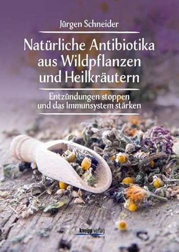 Natürliche Antibiotika aus Wildpflanzen und Heilkräutern: Entzündungen stoppen und das Immunsytsem stärken