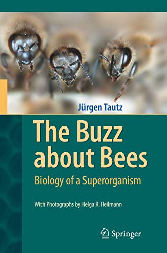 The Buzz about Bees: Biology of a Superorganism von Springer