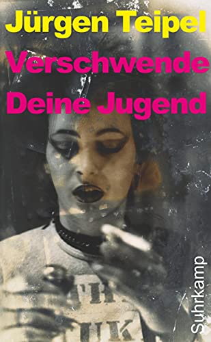 Verschwende Deine Jugend: Ein Doku-Roman über den deutschen Punk und New Wave. Erweiterte Fassung (suhrkamp taschenbuch)