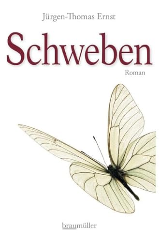 Schweben: Roman