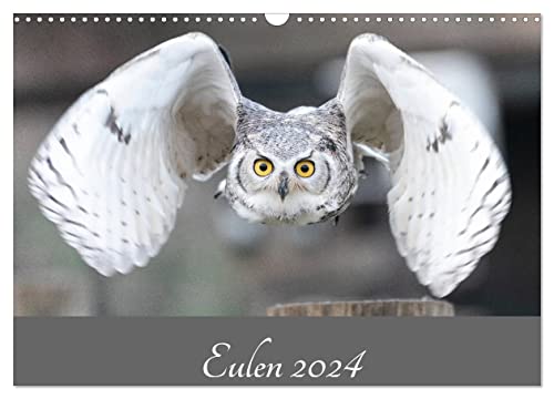 Eulen 2024 (Wandkalender 2024 DIN A3 quer), CALVENDO Monatskalender