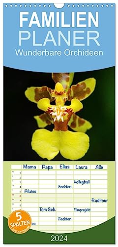 Familienplaner 2024 - Wunderbare Orchideen mit 5 Spalten (Wandkalender, 21 cm x 45 cm) CALVENDO