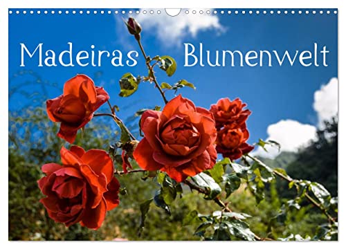 Madeiras Blumenwelt (Wandkalender 2024 DIN A3 quer), CALVENDO Monatskalender von CALVENDO