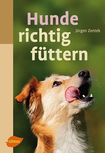 Hunde richtig füttern