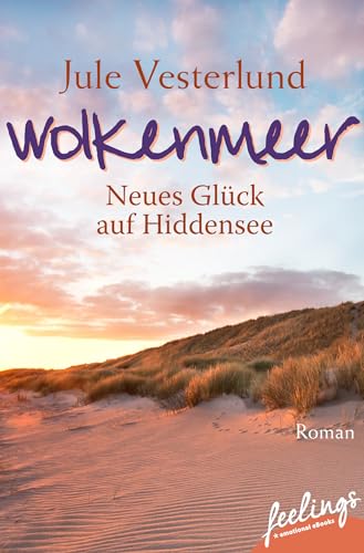 Wolkenmeer - Neues Glück auf Hiddensee: Roman