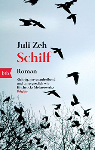 Schilf: Roman