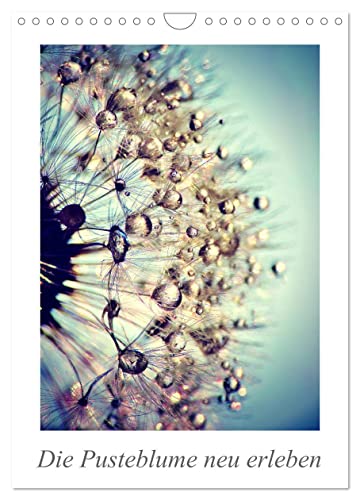 Die Pusteblume neu erleben (Wandkalender 2025 DIN A4 hoch), CALVENDO Monatskalender von CALVENDO