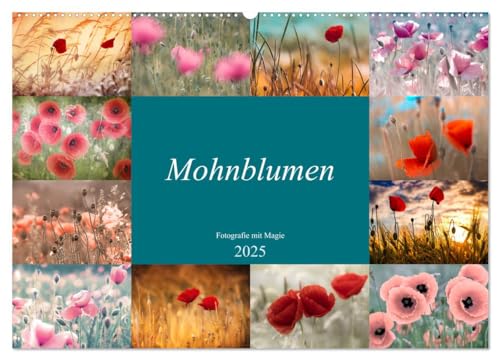 Mohnblumen - Fotografie mit Magie (Wandkalender 2025 DIN A2 quer), CALVENDO Monatskalender von CALVENDO