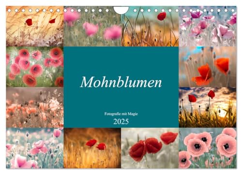 Mohnblumen - Fotografie mit Magie (Wandkalender 2025 DIN A4 quer), CALVENDO Monatskalender