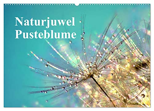 Naturjuwel Pusteblume (Wandkalender 2025 DIN A2 quer), CALVENDO Monatskalender