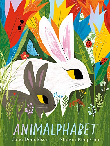 Animalphabet: A lift-the-flap ABC book from the author of The Gruffalo von Two Hoots