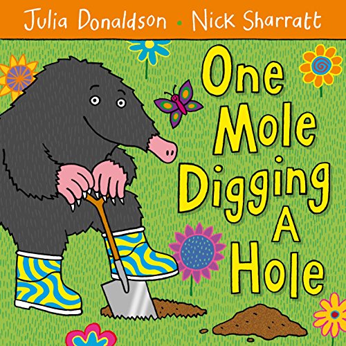 One Mole Digging A Hole (Aziza's Secret Fairy Door, 220) von MACMILLAN
